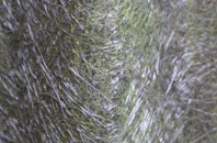 Dalnabreck fibreglass roof work